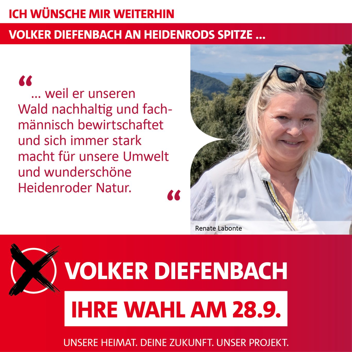 Social Media Wählerstimmen